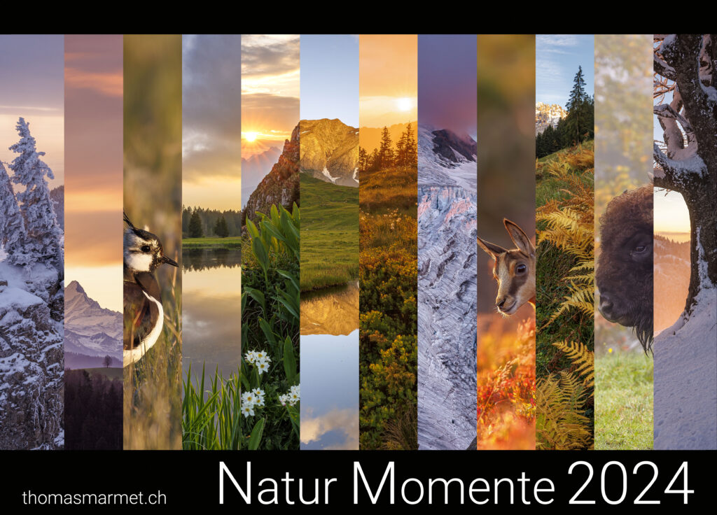 Kalender 2024 Titelblatt Naturkalender